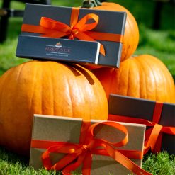 Shop pumpkin Gift Vouchers for firepits uk