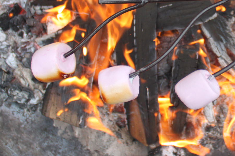 Marshmallow Fork Close Up with Toasted Marshmallows over Plain Jane Firepits Close Up 2- Firepits UK - LoResjpg