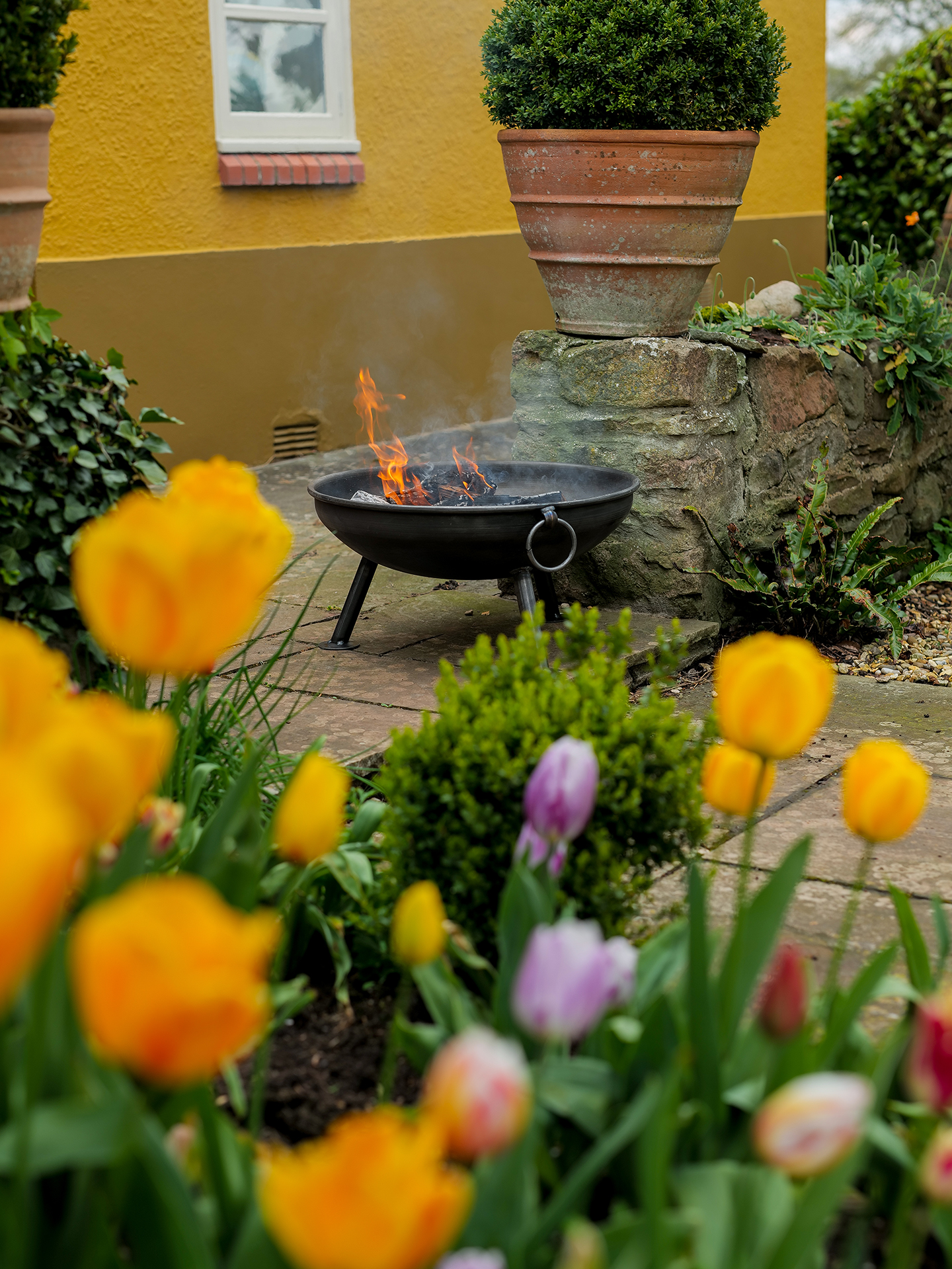 Celeste Fire Pit with Tulips at Woodlands Lifestyle - firepits UK - Reg Res