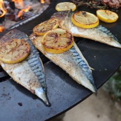 Plancha Fire Pit Lit with food close up of fish - Lifestyle - Firepits UK - WEB 600x600 - Lo Res